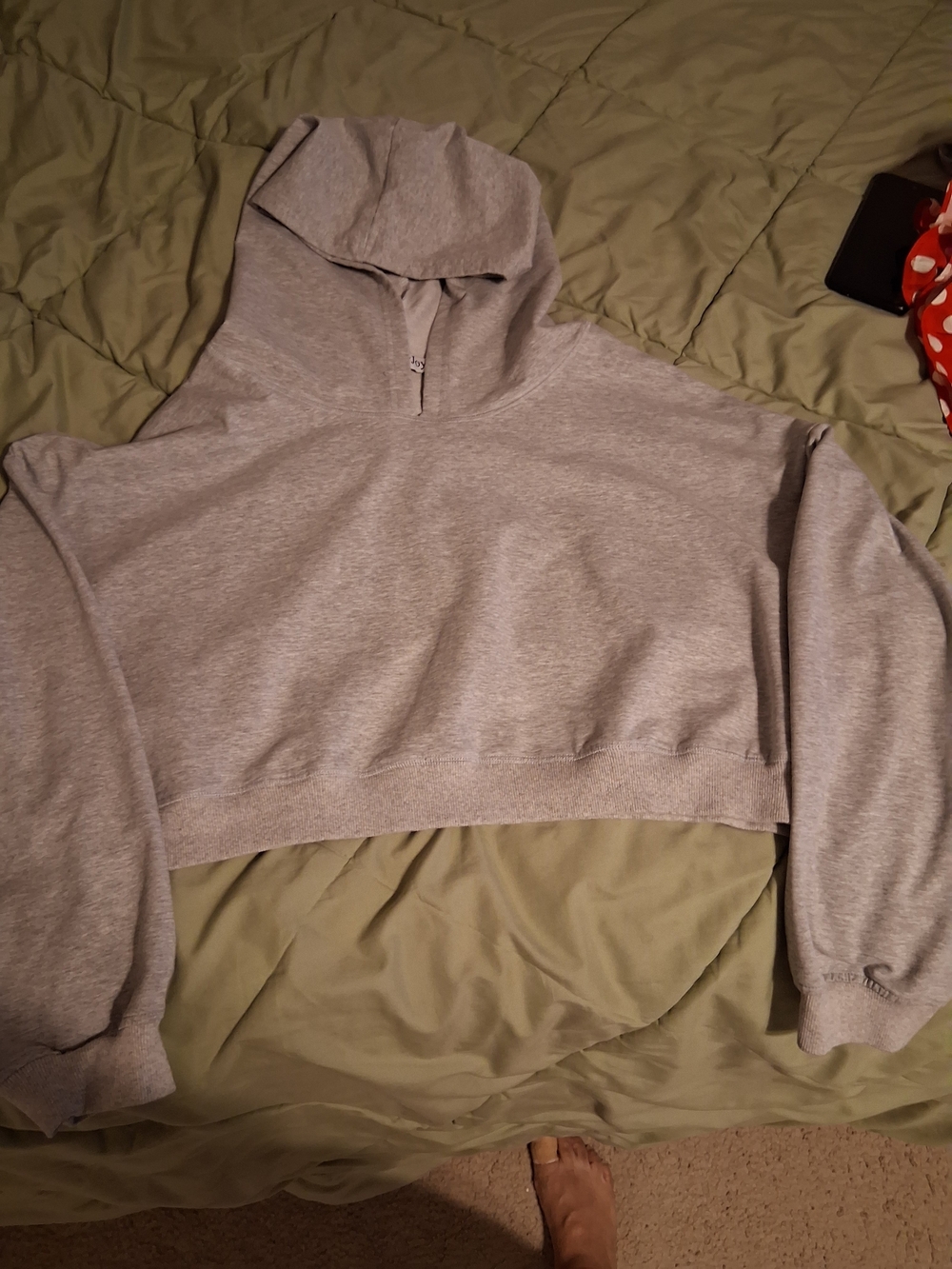 Joy Joy Light Gray Cropped Hoodie Sweatshirt